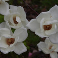 2622-3.jpg