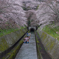 2626-1.jpg