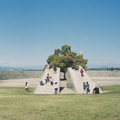 2627-2.jpg