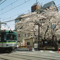 2629-3.jpg