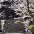 2631-1.jpg