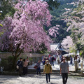 2633-3.jpg