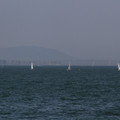2634-2.jpg