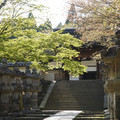 2635-2.jpg