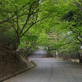 2636-1.jpg