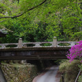 2636-2.jpg