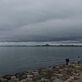 2638-1.jpg