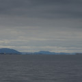 2638-2.jpg
