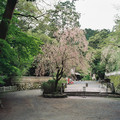 2638-3.jpg