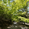 2640-1.jpg