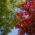 2643-1.jpg