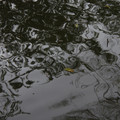 2645-1.jpg