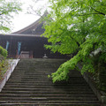 2647-3.jpg