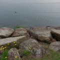 2649-1.jpg
