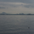2649-2.jpg