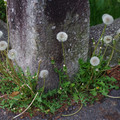 2649-3.jpg