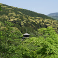 2651-1.jpg