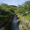 2655-1.jpg
