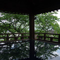 2656-2.jpg