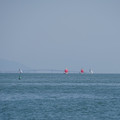 2658-1.jpg