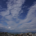 2660-3.jpg
