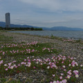 2663-2.jpg