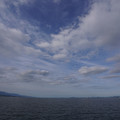2663-3.jpg