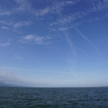 2664-1.jpg