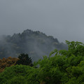 2665-1.jpg