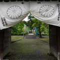 2667-1.jpg