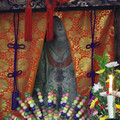 2667-3.jpg