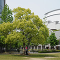 2673-2.jpg