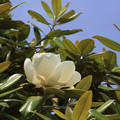 2679-1.jpg