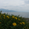 2680-2.jpg