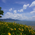 2682-3.jpg