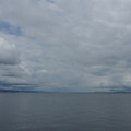 2725-1.jpg