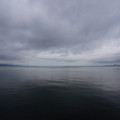 2727-1.jpg