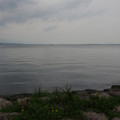 2733-3.jpg