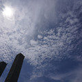 2736-1.jpg