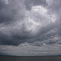 2737-1.jpg