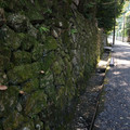 2740-1.jpg