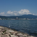2741-1.jpg