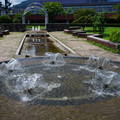 2742-3.jpg