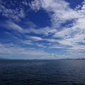 2746-1.jpg