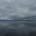 2778-1.jpg