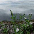 2778-2.jpg