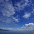 2779-1.jpg