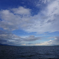 2779-3.jpg