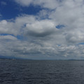2781-1.jpg