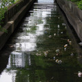 2782-2.jpg